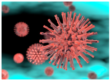 ��������(ֱӪ)�ٷ���վ