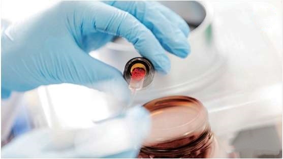 ��������(ֱӪ)�ٷ���վ